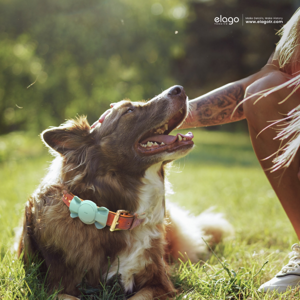 Elago Köpek Tasması Uyumlu AirTag Kılıfı - Mint Kurdele - Görsel 7