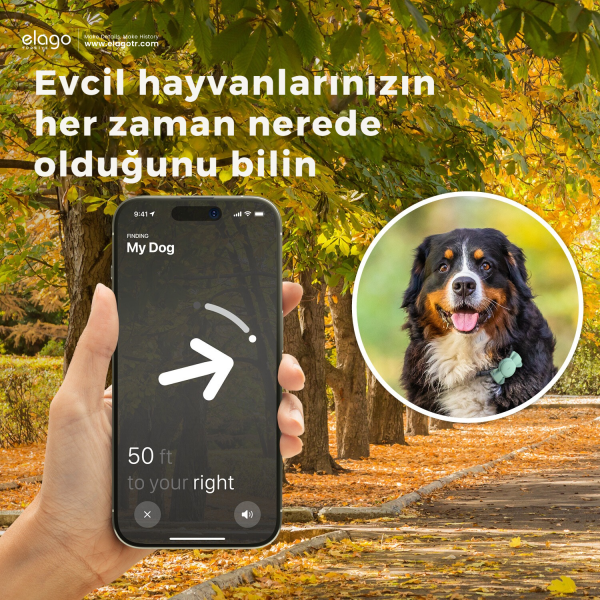 Elago Köpek Tasması Uyumlu AirTag Kılıfı - Mint Kurdele - Görsel 4