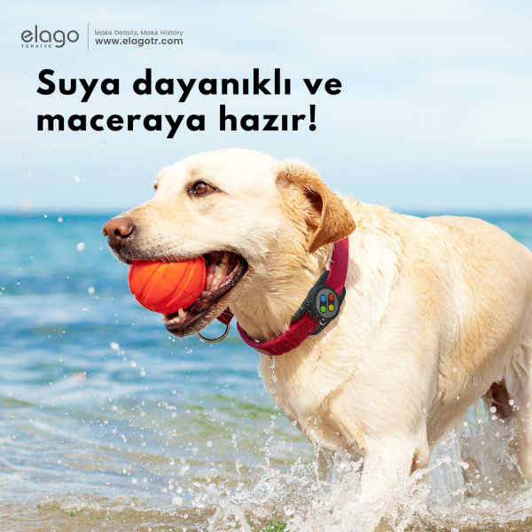 Elago Köpek Tasması Uyumlu AirTag Kılıfı - W5 Siyah - Görsel 6