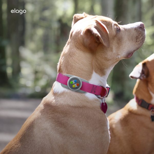 Elago Köpek Tasması Uyumlu AirTag Kılıfı - W5 Açık Gri - Görsel 7